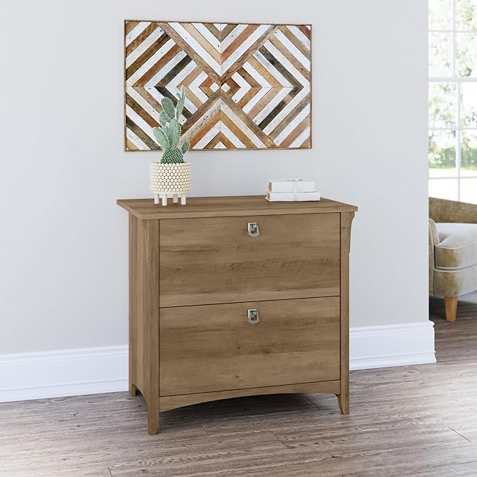 Bush Furniture Salinas 2 Drawer Lateral File Cabinet in Reclaimed Pine, Home Office Storage Solution, Organizer with Drawers for Workspace, Filing Unit