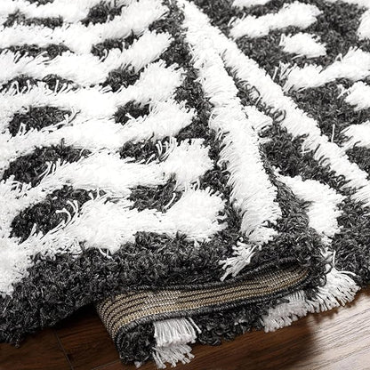 Livabliss Hapsburg Moroccan Shag Area Rug, 5'3" x 7'3", Black/White