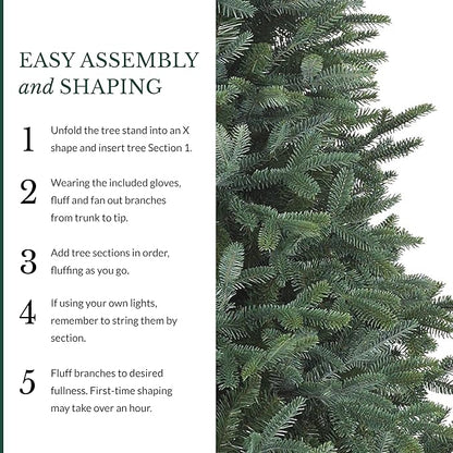 Balsam Hill European Silver Fir - Elegant Artificial Christmas Tree with True Needle Foliage Available Unlit or with LED Clear Lights, Unlit, 7'