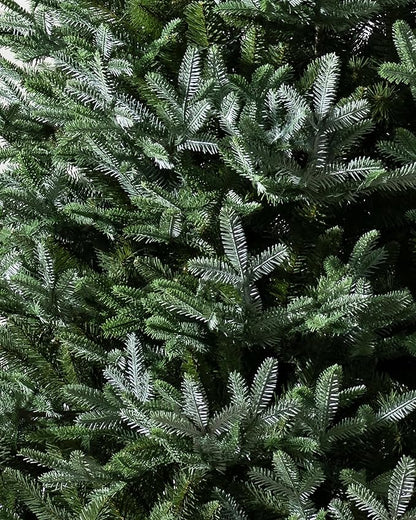 Balsam Hill European Silver Fir - Elegant Artificial Christmas Tree with True Needle Foliage Available Unlit or with LED Clear Lights, Unlit, 9'