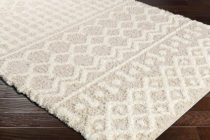 Livabliss Hapsburg Moroccan Shag Runner Area Rug,2'7" x 14',Beige