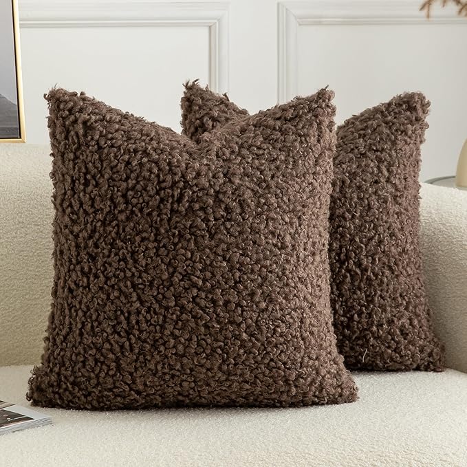 Pack of 2 Curly Teddy Wool Faux Fur Throw Pillow Covers Fuzzy Accent Soft Sherpa Pillowcases Sheepskin Fleece Decorative Cushion Case for Sofa Couch Living Room 26x26 Inch Chocolate