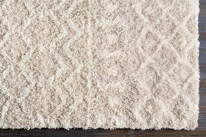 Livabliss Hapsburg Moroccan Shag Area Rug,10' x 14',Beige