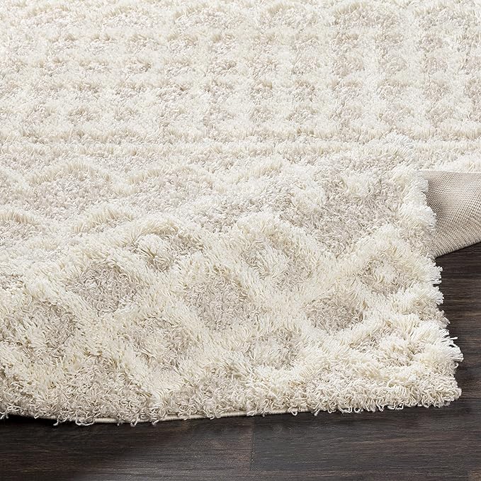 Livabliss Hapsburg Moroccan Shag Runner Area Rug,2'7" x 12',Beige