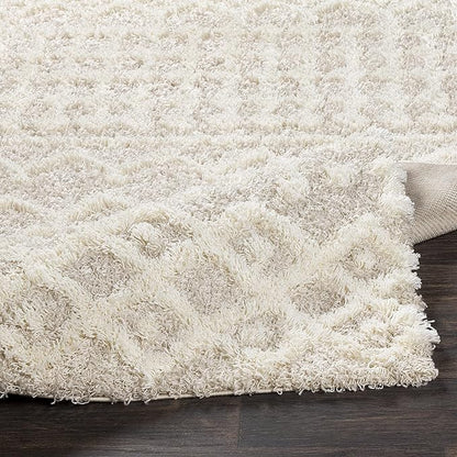 Livabliss Hapsburg Moroccan Shag Area Rug, 4'3" x 5'7", Beige