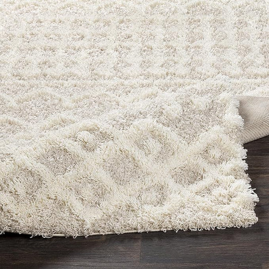 Livabliss Hapsburg Moroccan Shag Area Rug, 4'3" x 5'7", Beige