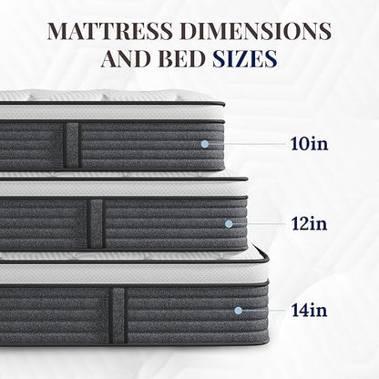 CH CHARME HOUSE Twin Mattress, 14 Inch Twin Size Hybrid Mattress in a Box, Medium Feel Foam and Individual Pocket Springs, Extra Edge Support, Pressure Relief, CertiPUR-US