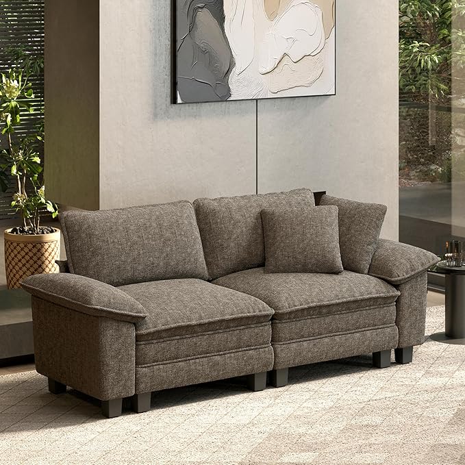 HERA'S HOUSE 88" Modular Sectional Sofa, Loveseat Couches for Living Room, Comfy Cloud Couch 2-Seater Deep Seat Sofa with Throw Pillow, Chenille Ash