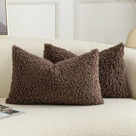 Pack of 2 Curly Teddy Wool Faux Fur Throw Pillow Covers Fuzzy Accent Soft Sherpa Pillowcases Sheepskin Fleece Decorative Cushion Case for Sofa Couch Living Room 12x20 Inch Chocolate