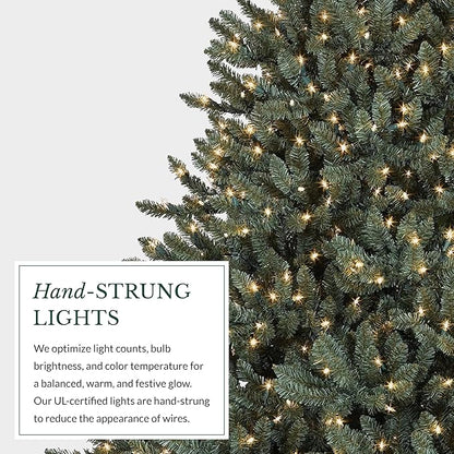 Balsam Hill 5.5ft Pre-Lit Classic Blue Spruce - Artificial Christmas Tree with 400 Clear Incandescent Lights, Easy Plug Technology, Premium Stand for Indoor Holiday Decorating