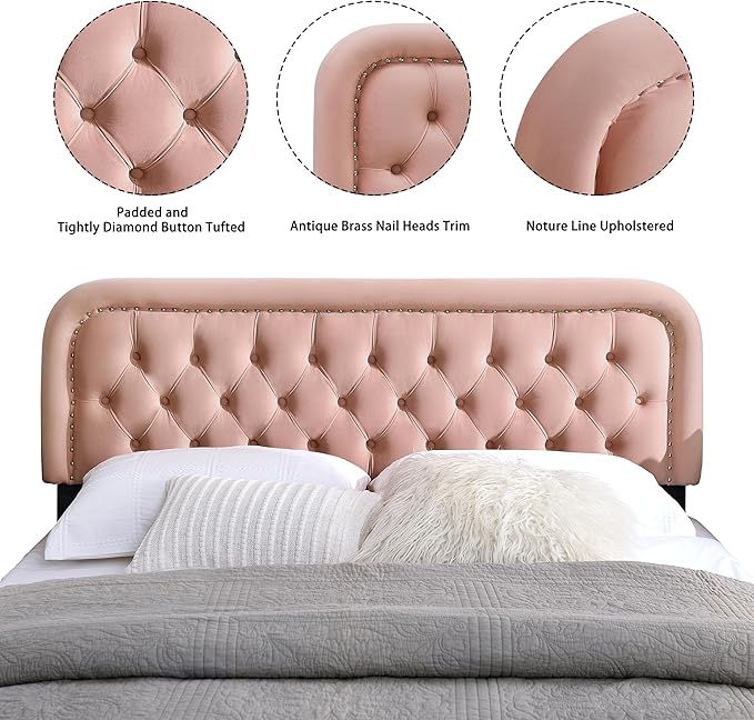 Tufted Upholstered Headboard,Button Solid Wood HeadBoards with Adjustable Height,Modern Performance Velvet Bed Head Boards,Easy Install&Nailhead (Pink, Queen)