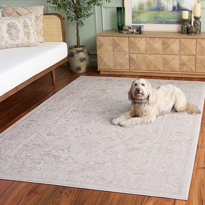 SAFAVIEH Area Rug 3x5 - Reflection Collection - Cream & Ivory, Non-Shedding & Easy Cleaning, Ideal for Entryway, Living Room, Bedroom (RFT665D)