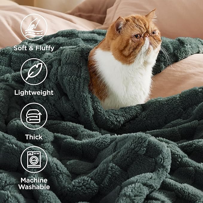 Bedsure GentleSoft Mallard Green Throw Blanket for Couch - Super Soft Cozy Blankets Gifts for Women Men Girls, Cute Small Fleece Throws for Bedroom Home Decor, 50x70 Inches