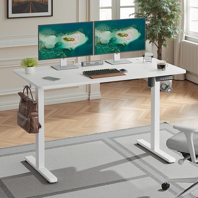 Casaphoria 47 x 24 inches Electric Standing Desk, Sit to Stand Desk with Memory Height Adjustment, Home Office Computer Desk for Writing and Games, White