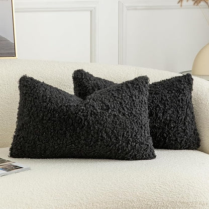Pack of 2 Curly Teddy Wool Faux Fur Throw Pillow Covers Fuzzy Accent Soft Sherpa Pillowcases Sheepskin Fleece Decorative Cushion Case for Sofa Couch Living Room 12x20 Inch Black