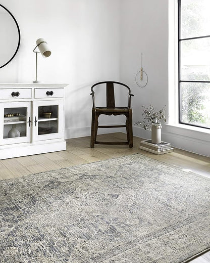 Loloi Teagan Collection TEA-04 Sky/Natural 7'-11" x 10'-6" Area Rug, Large, Soft Neutral Rug, High-Traffic for Living Room, Bedroom, Home Office, Dining Area