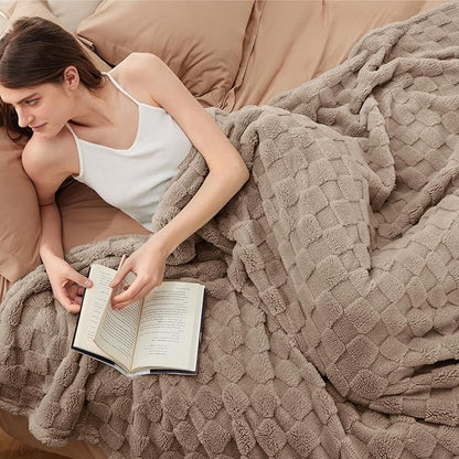 Bedsure GentleSoft Blankets Queen Size for Bed - Super Soft Cozy Blanket for Women Men Girls, Large Fuzzy Fleece Throw for Bedroom Decor, Light Taupe, 90x90 Inches