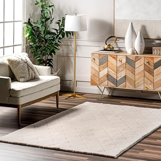 nuLOOM 3'9" x 6' Cozy Plush Area Rug, Machine Washable, Non-Slip, Soft Fluffy Shag Carpet for Living Room Bedroom Kids Room Nursery Home Decor, Amy Beige