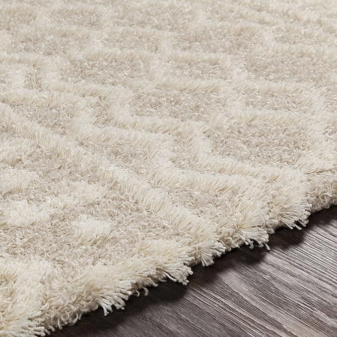 Livabliss Hapsburg Moroccan Shag Area Rug, 4'3" x 5'7", Beige