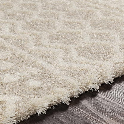 Livabliss Hapsburg Moroccan Shag Area Rug, 4'3" x 5'7", Beige