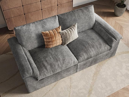 EASE MOOSE Oversized Boneless Couch for Living Room, Sectional Cloud Sofa, Modular Cloud Couch Loveseat, 2-Seater Deep Seat Sofas with Pillow for Bedroom, Apartment, No Assembly, Chenille (Grey)
