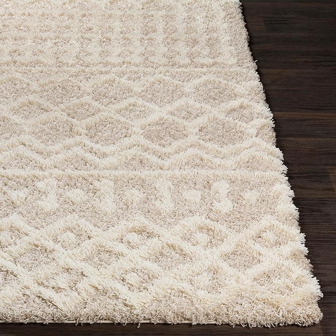 Livabliss Hapsburg Moroccan Shag Runner Area Rug,2'7" x 14',Beige