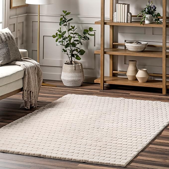 nuLOOM 3'9" x 6' Cozy Plush Area Rug, Machine Washable, Non-Slip, Soft Fluffy Shag Carpet for Living Room Bedroom Kids Room Nursery Home Decor, Nia Beige