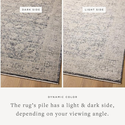 Loloi Amber Lewis Alie Collection ALE-05 Charcoal/Beige 9'-6'' x 13'-1'', .13'' Pile Height, Area Rug