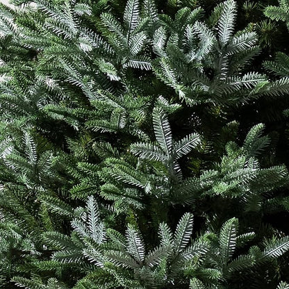 Balsam Hill European Silver Fir - Elegant Artificial Christmas Tree with True Needle Foliage Available Unlit or with LED Clear Lights, Unlit, 7'