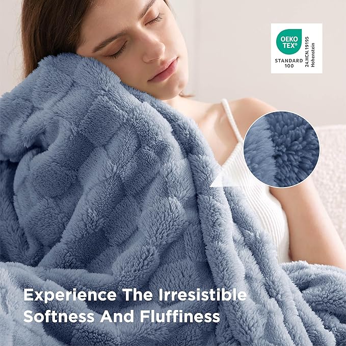 Bedsure GentleSoft Blankets Queen Size for Bed - Super Soft Cozy Blanket for Women Men Girls, Large Fuzzy Fleece Throw for Bedroom Decor, Ashley Blue, 90x90 Inches