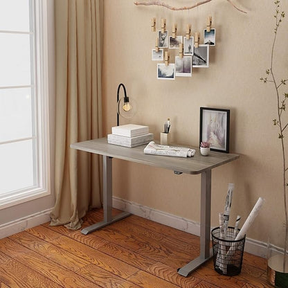 FLEXISPOT EN1 One-Piece Standing Desk 48 x 24 Inches Height Adjustable Electric Desk (Silver Frame + Grey Wood Grain Top, 2 Packages)