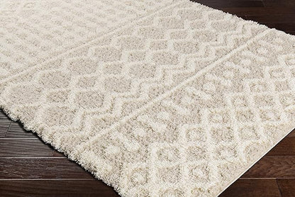 Livabliss Hapsburg Moroccan Shag Area Rug, 4'3" x 5'7", Beige