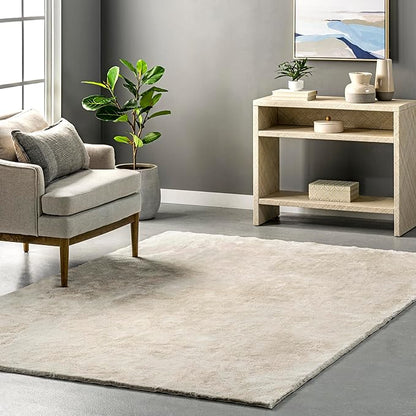 nuLOOM 3' x 5' Cozy Plush SuperiorWash Area Rug, Machine Washable, Non-Slip, Soft Fluffy Shag Carpet for Living Room Bedroom Kids Room Nursery Home Decor, Loni Cream