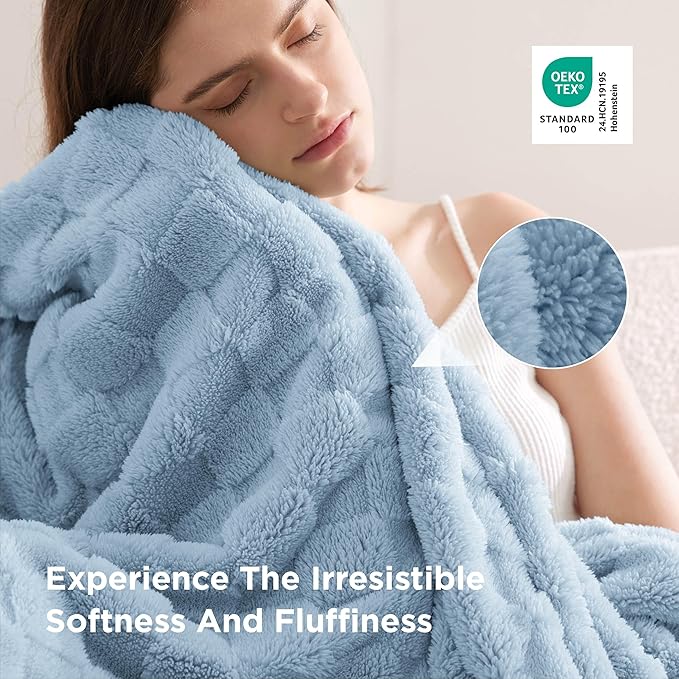 Bedsure GentleSoft Blankets Queen Size for Bed - Super Soft Cozy Blanket for Women Men Girls, Large Fuzzy Fleece Throw for Bedroom Decor, Light Blue, 90x90 Inches
