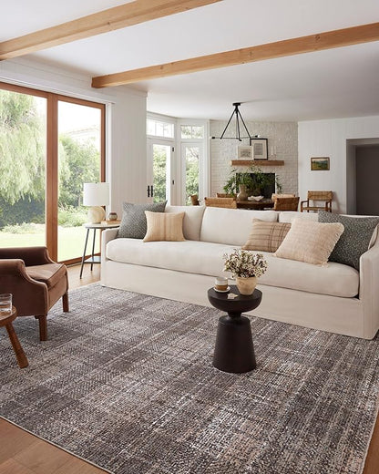 Loloi Angela Rose Ember Collection EMB-05 Graphite/Multi 2'-3" x 3'-10" Accent Rug