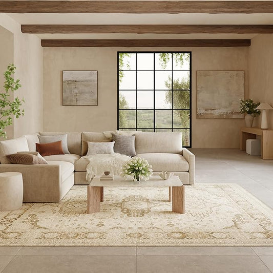Nourison Home Pardis Ivory Beige 7'10" x 9'10" Area Rug - Easy Clean, Non Shedding, Bed Room, Living Room, Dining Room, Kitchen (8' x 10')