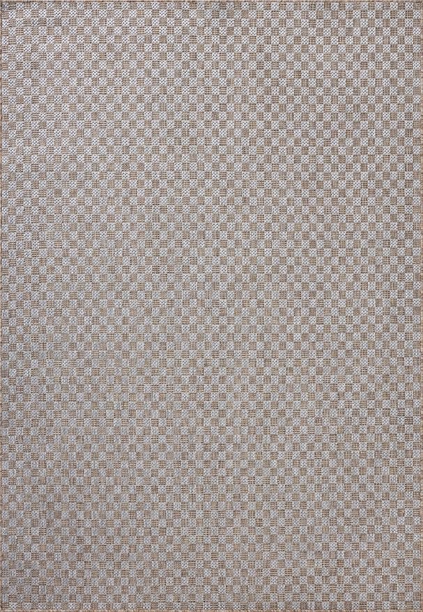 Loloi Amber Lewis Topanga Collection TOP-02 Natural/Silver 3'-11" x 5'-11" Indoor/Outdoor Accent Rug
